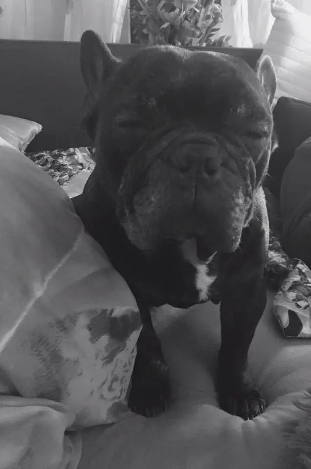 Andachtsbild von Dominique Hellwing