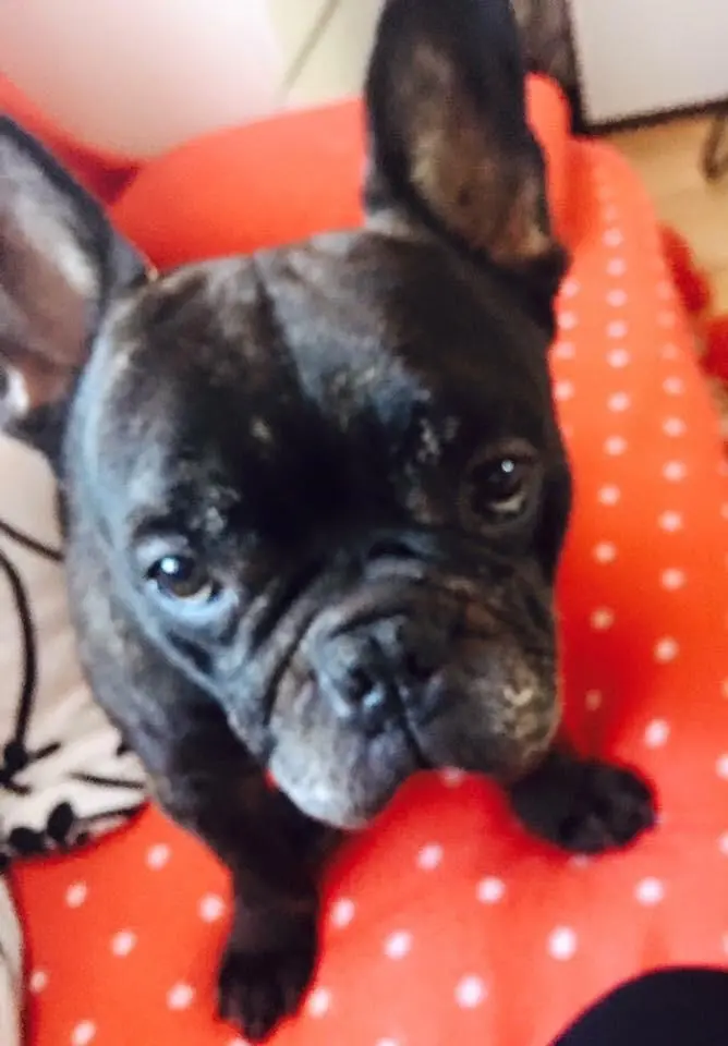 Andachtsbild von Dominique Hellwing