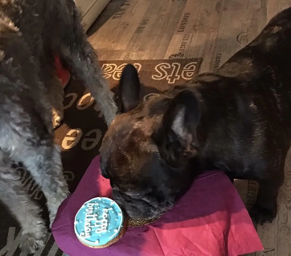 Andachtsbild von Dominique Hellwing