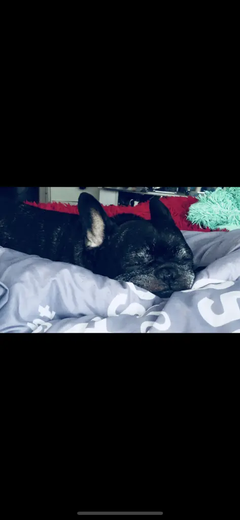 Andachtsbild von Dominique Hellwing