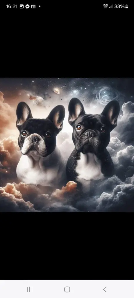 Andachtsbild von Dominique  Hellwing 