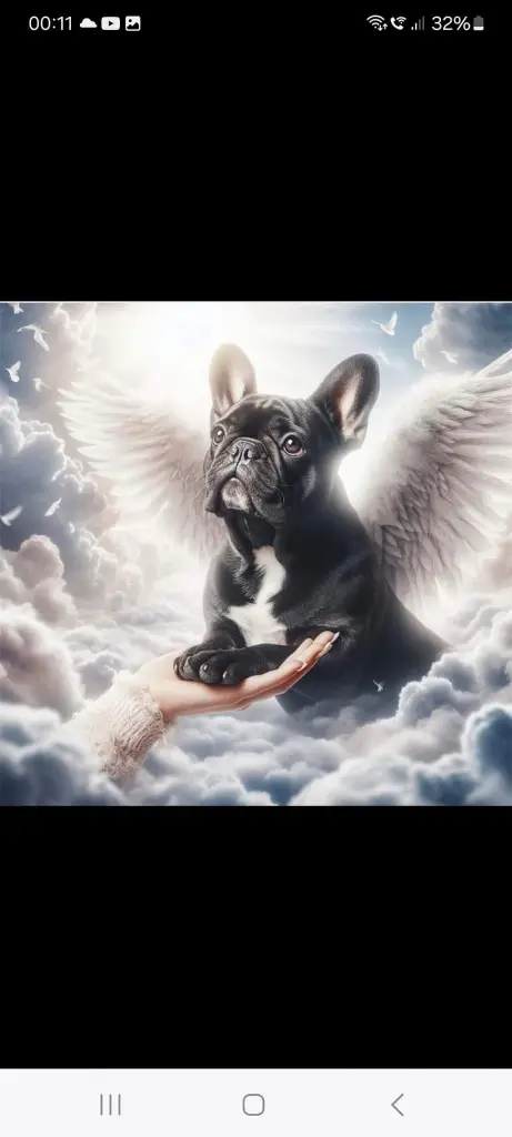 Andachtsbild von Dominique  Hellwing 