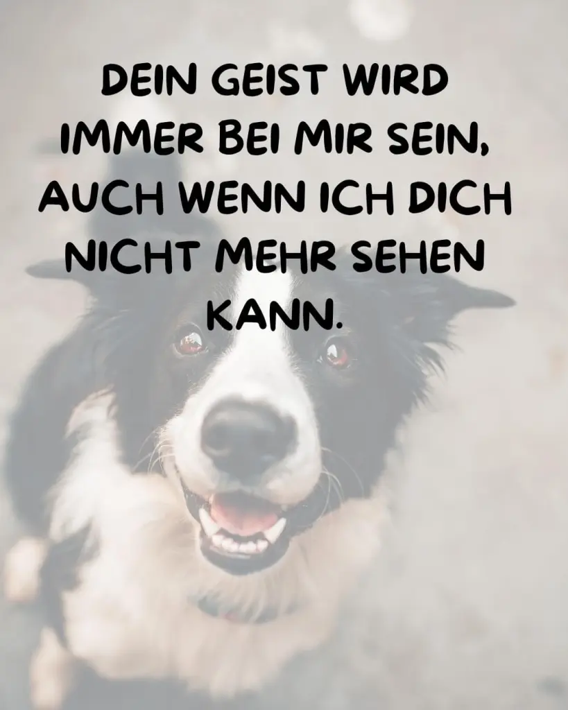 Andachtsbild von Dominique  Hellwing 