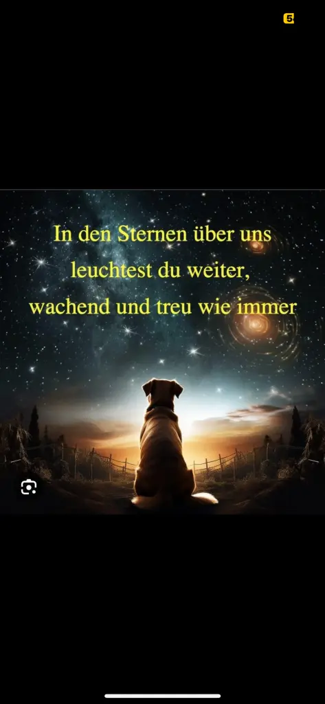 Andachtsbild von Dominique  Hellwing 