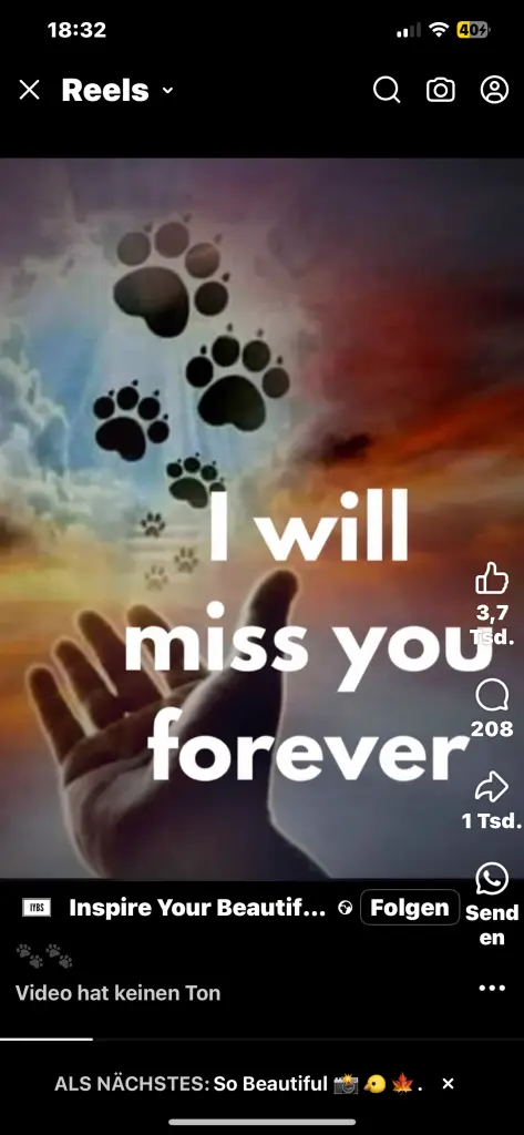 Andachtsbild von Dominique  Hellwing 