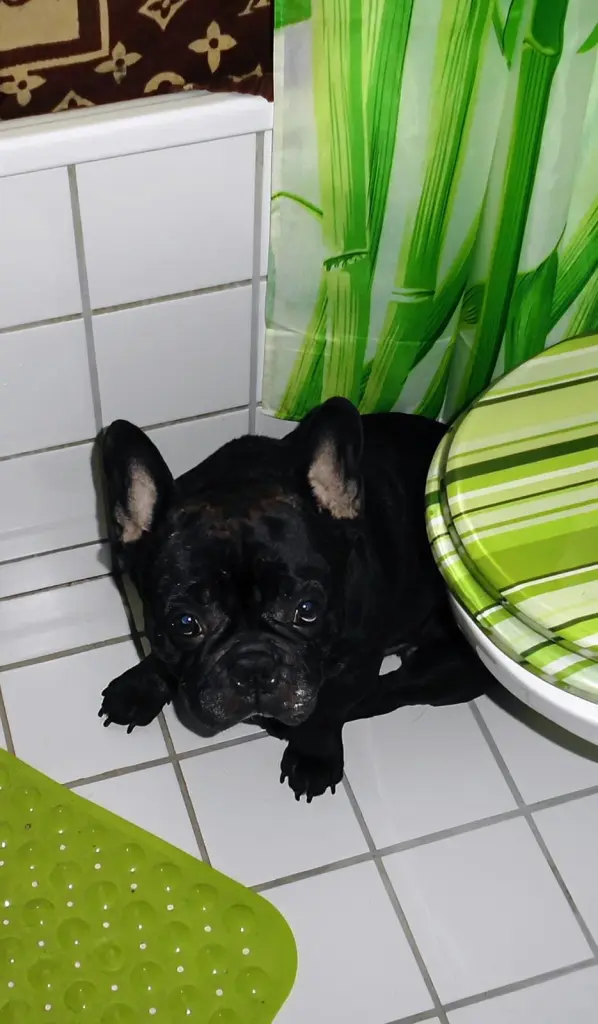 Andachtsbild von Dominique  Hellwing 