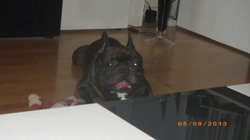 Andachtsbild von Dominique  Hellwing 