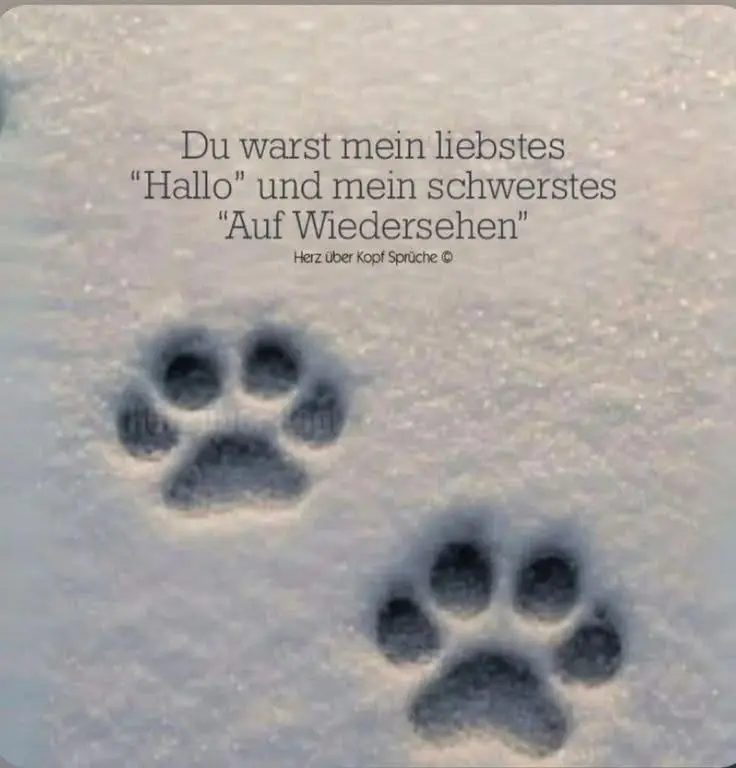 Condolence image of Dominique Hellwing