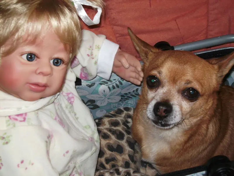 Condolence image of Irene mit Seelenhund *Jimmy * ganz tief im Herzen