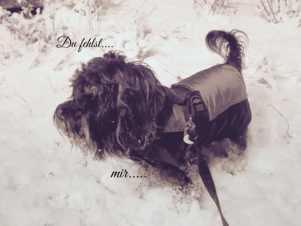 Condolence image of Tanja