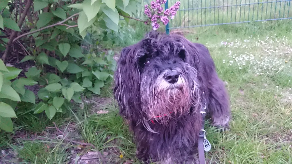 Condolence image of Tanja