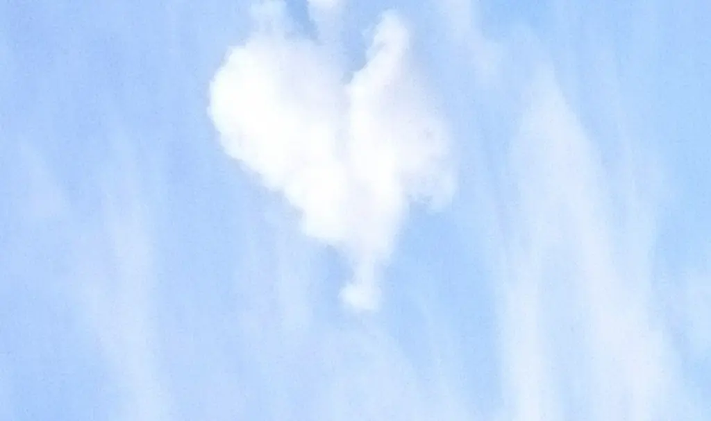 Condolence image of Tanja