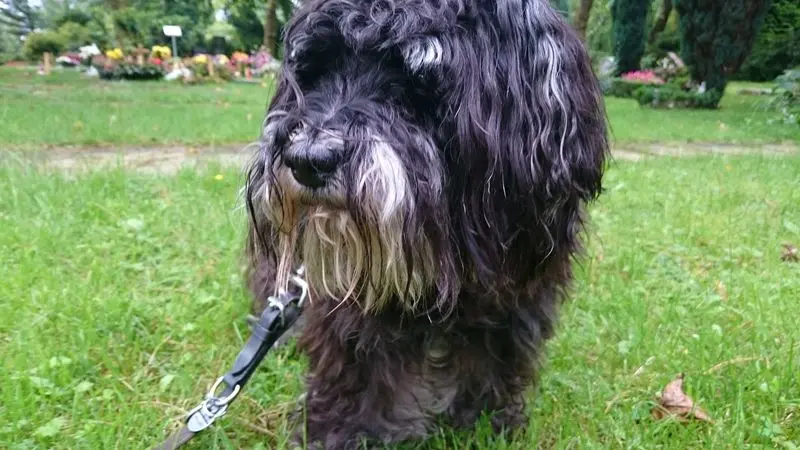 Condolence image of Tanja