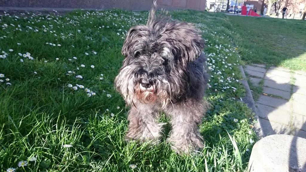 Condolence image of Tanja