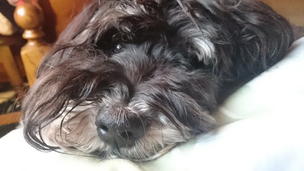 Condolence image of Tanja