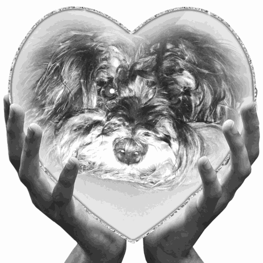 Condolence image of Tanja
