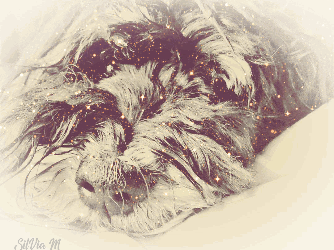 Condolence image of Tanja
