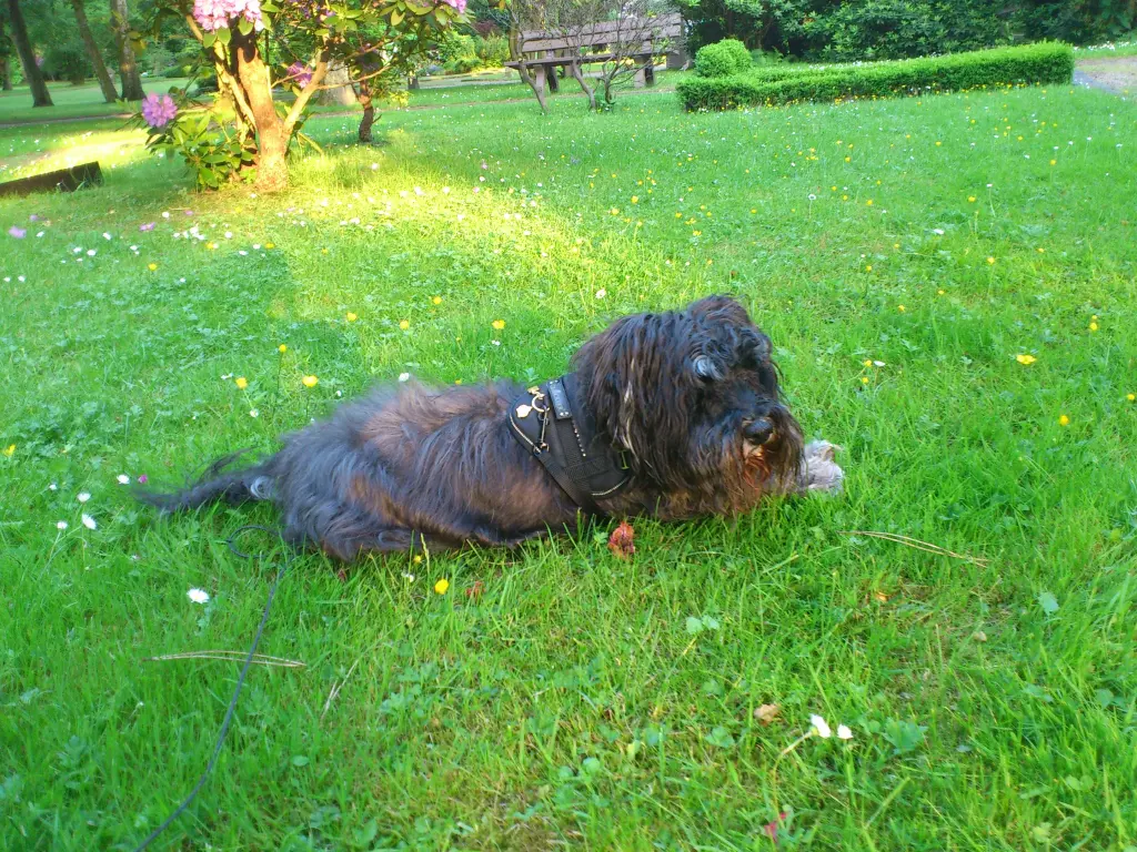 Condolence image of Tanja