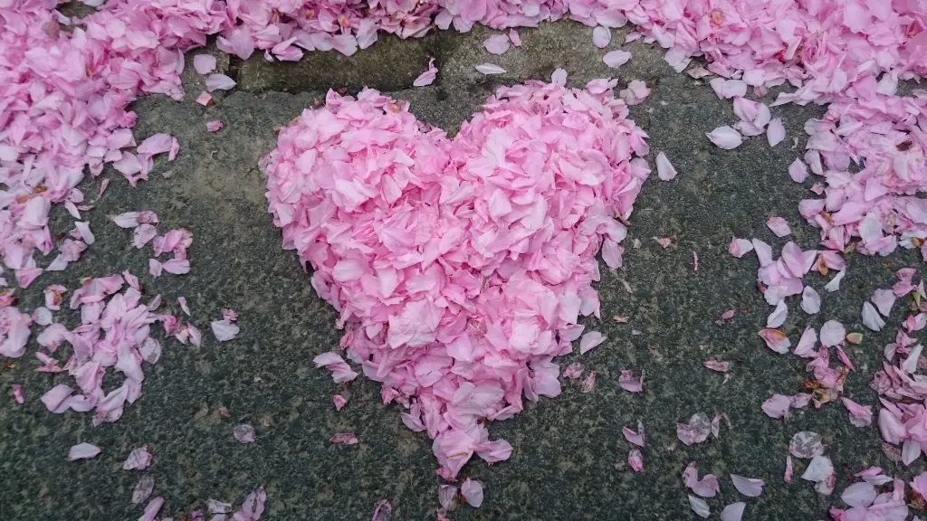Condolence image of Tanja