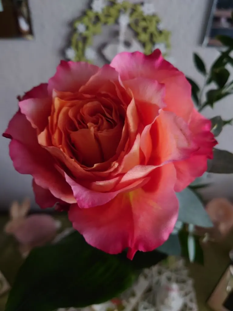 Condolence image of Tanja
