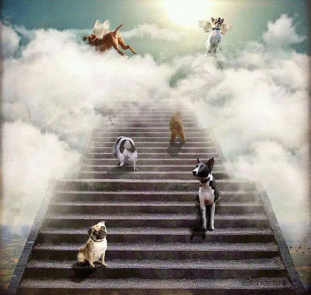 Condolence image of Reiki