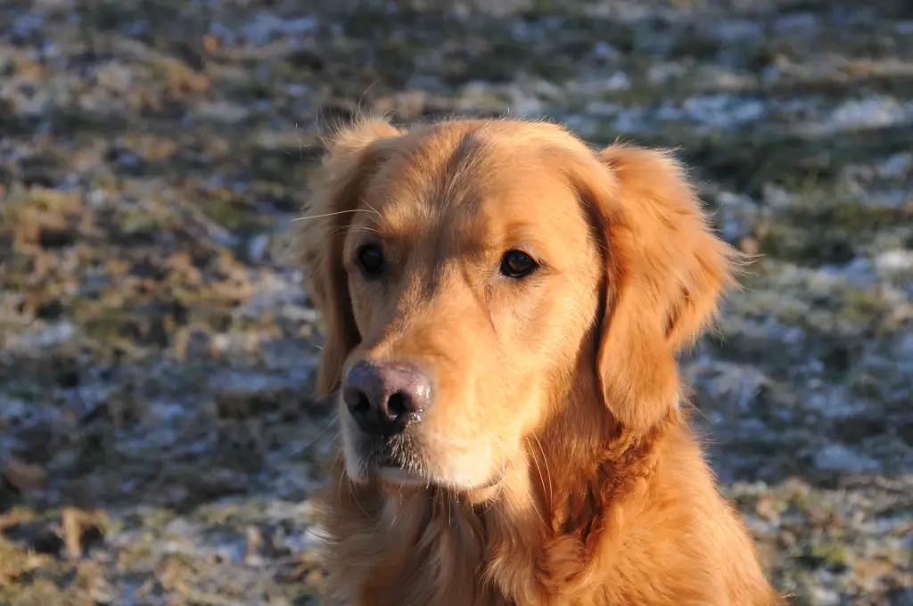 Bild von Mr. Winter