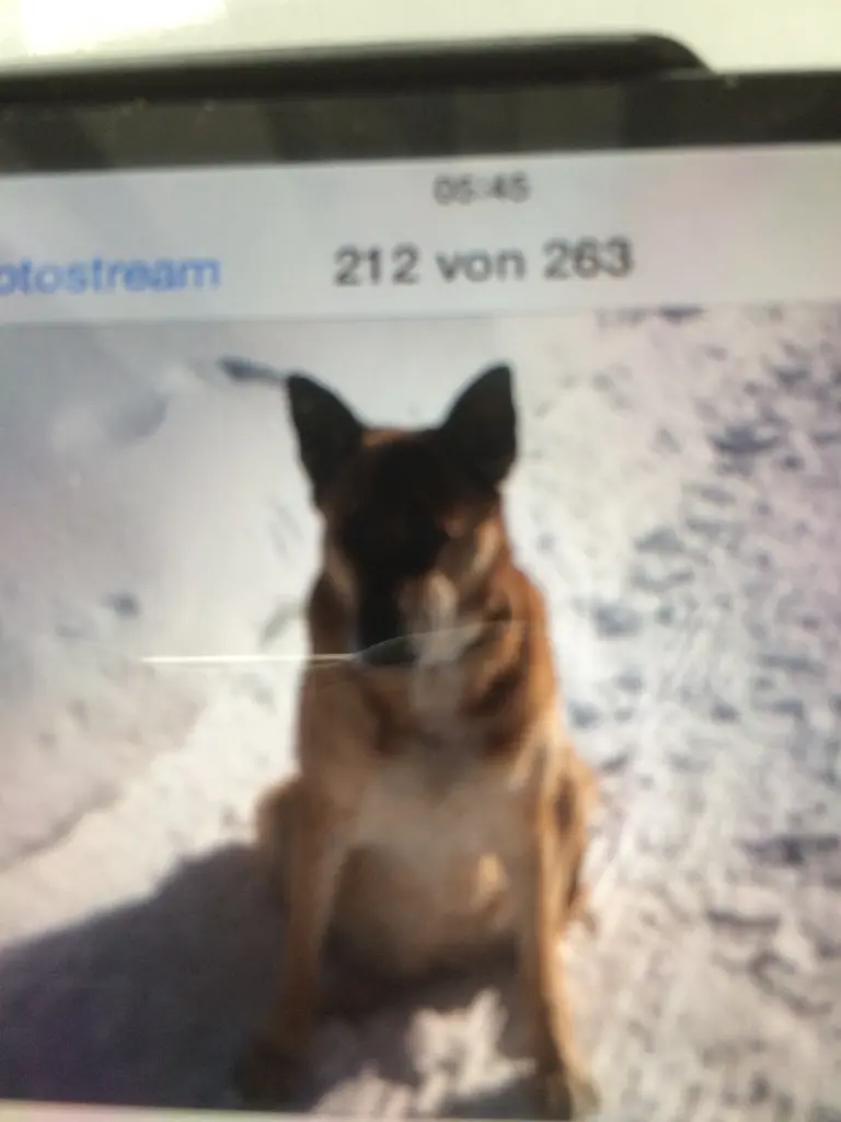 Condolence image of Heike