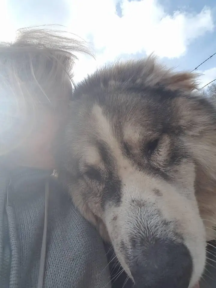 Image from Igor