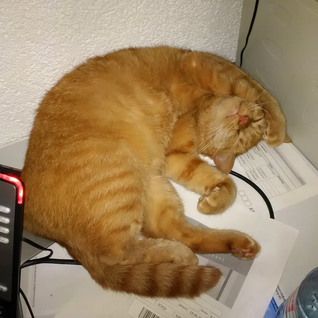 Image from Leo
