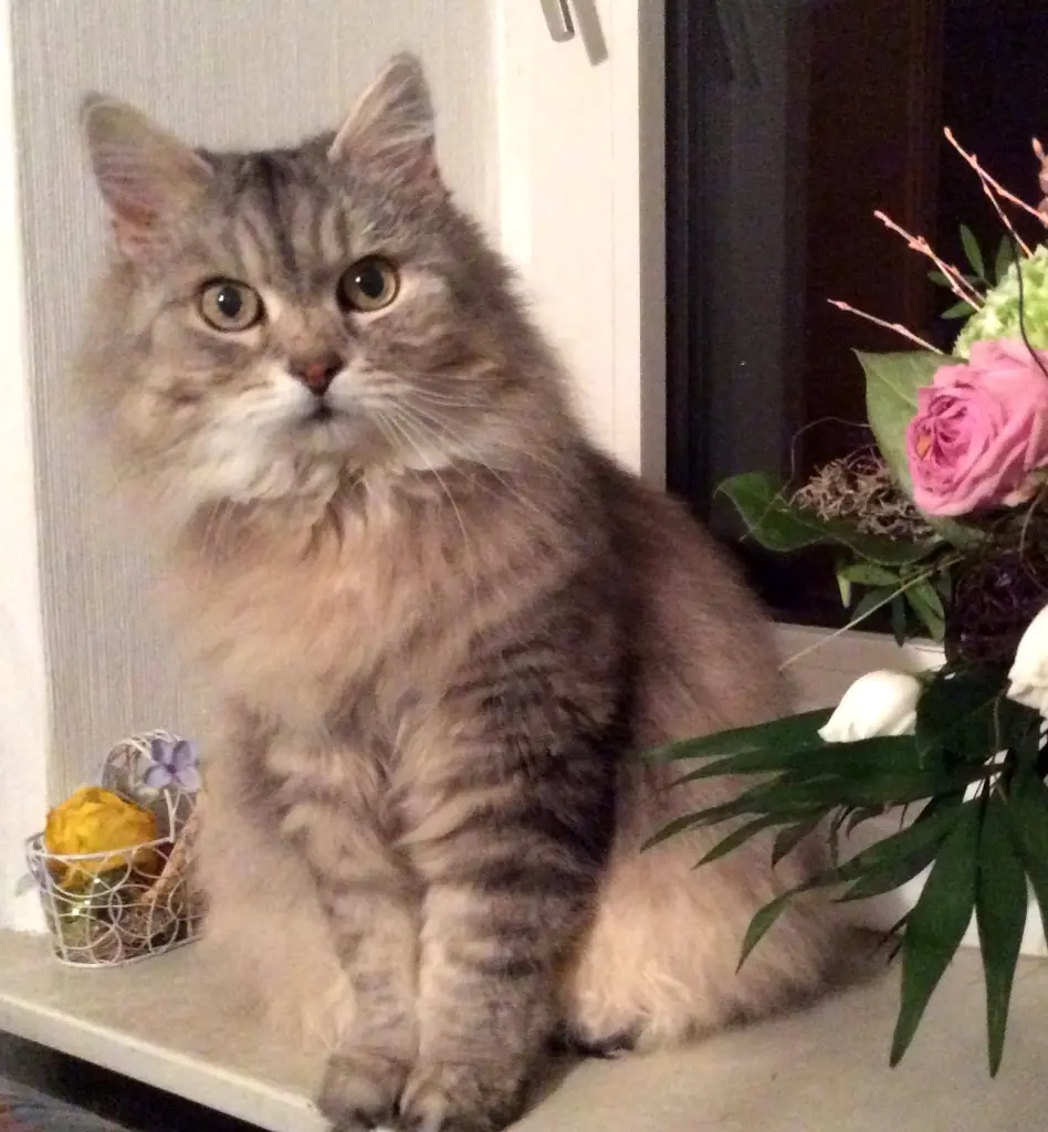 Condolence image of Unbekannt