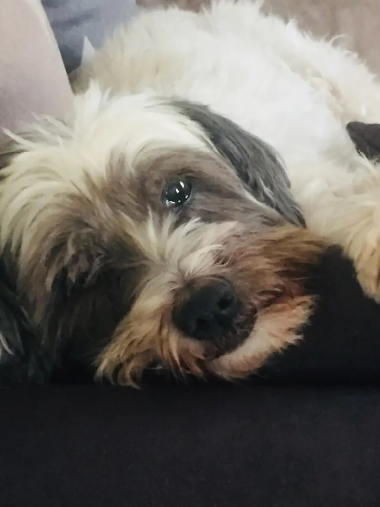 Condolence image of Claudia