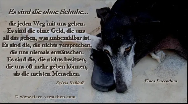 Condolence image of Martina Blümke
