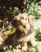 Image from Barney
