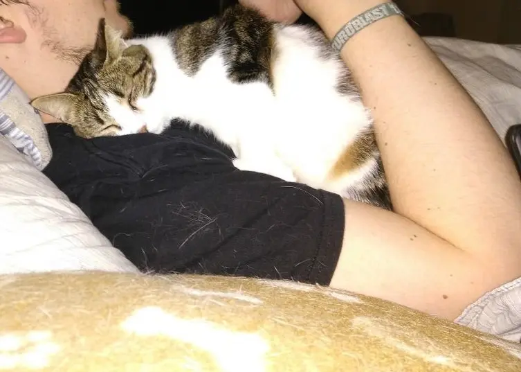 Bild von Tilly
