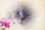 Andachtsbild von Katrin und Katzi im ❤️