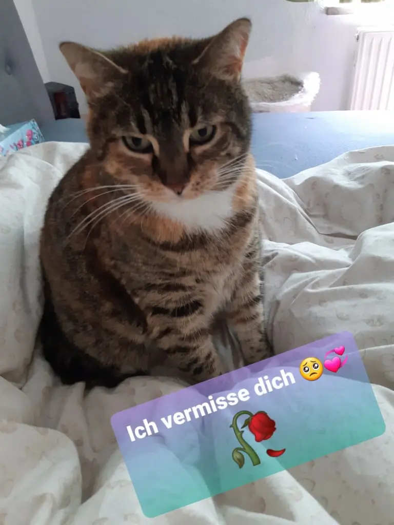 Andachtsbild von Elke & Punka