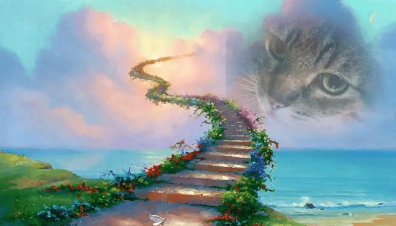 Condolence image of Nici mit Luna im Herzen