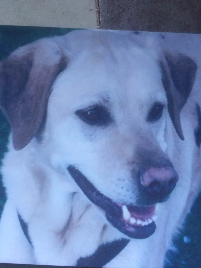 Condolence image of Patricia