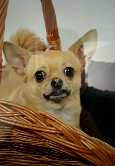 Image from Channel