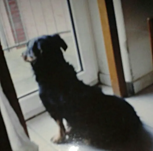 Condolence image of Niklas