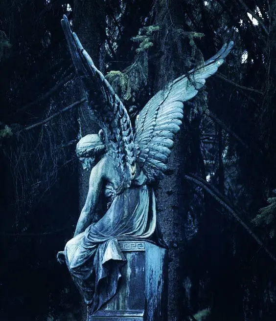 Condolence image of Niklas