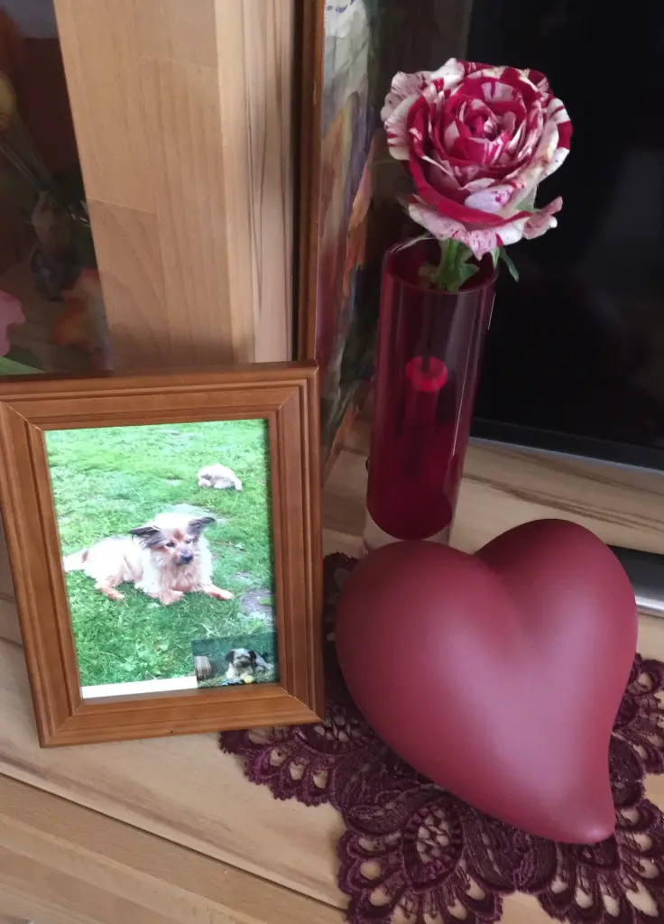 Image from Billy