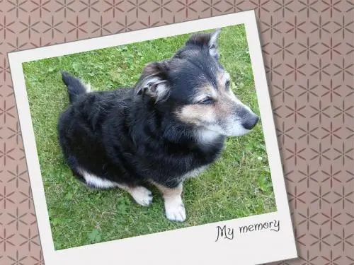 Bild von an unseren kleinen Maxi