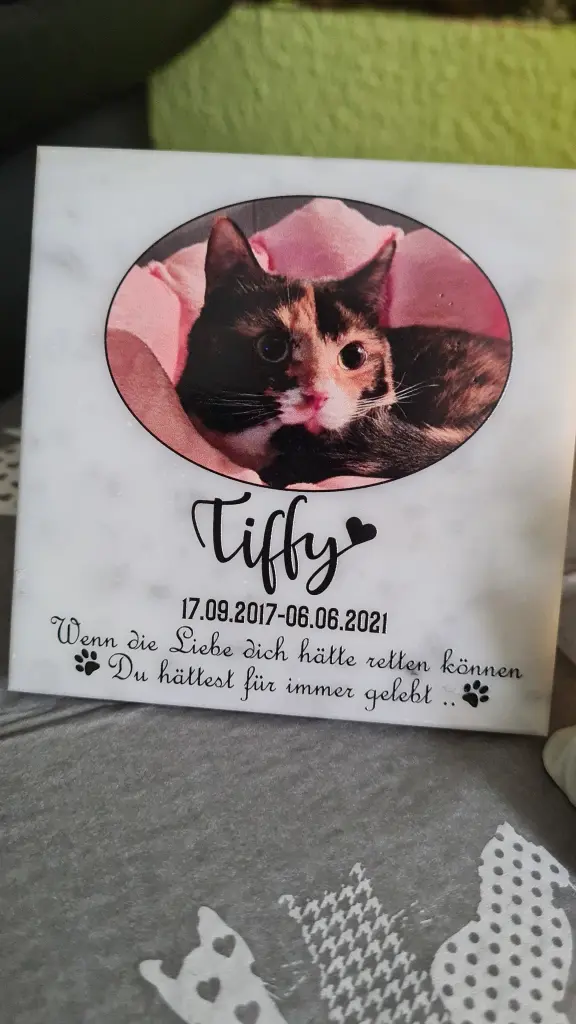 Bild von Tiffy