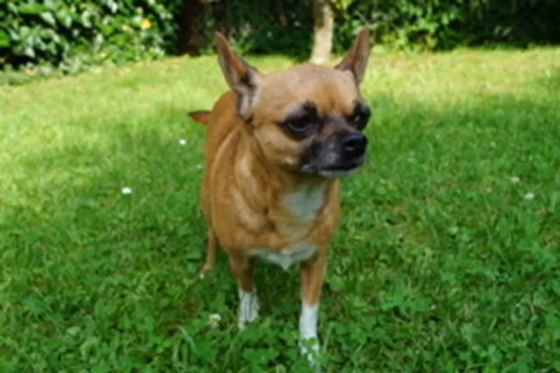 Condolence image of Barbara