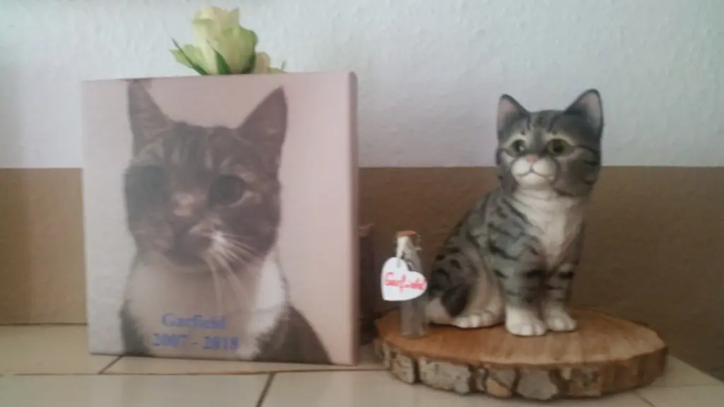 Image from Garfield