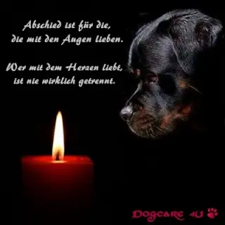 Condolence image of Jenny Dierbach