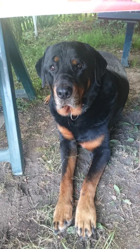 Condolence image of Vicky