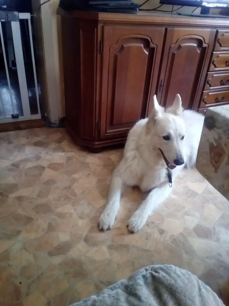Image from Jojo