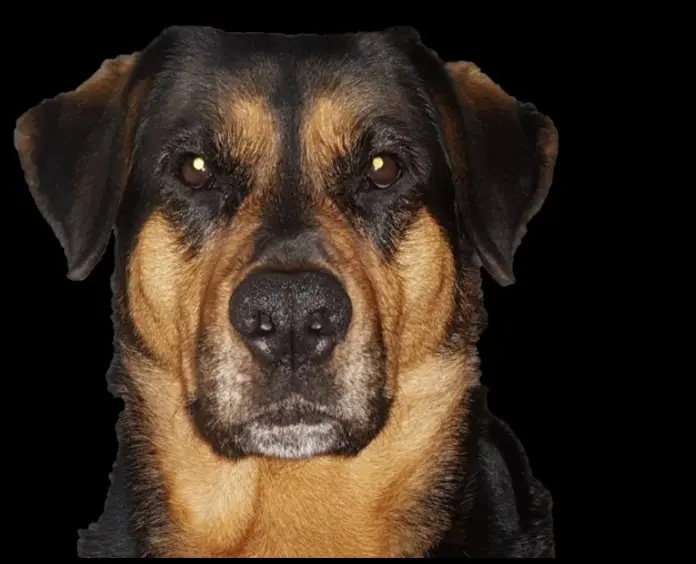 Condolence image of Unbekannt